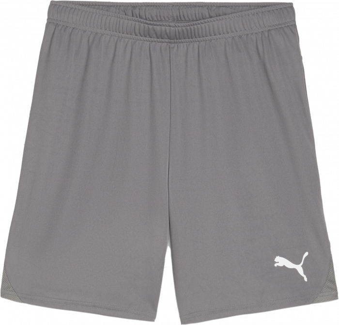 Puma - Teamgoal Shorts - Cast Iron & blanco