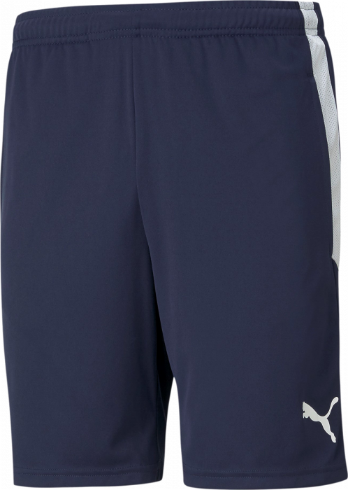 Puma - Teamliga Trænershorts Med Lommer - Navy Blå